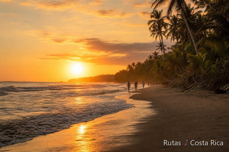 Atardecer en la playa de Santa Teresa Costa Rica con palmeras