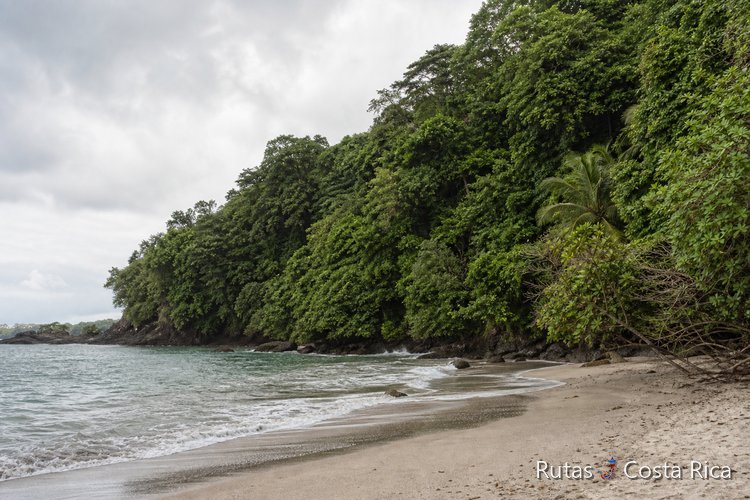 Playa y selva en la zona de Cabo Blanco, península de Nicoya, Costa Rica