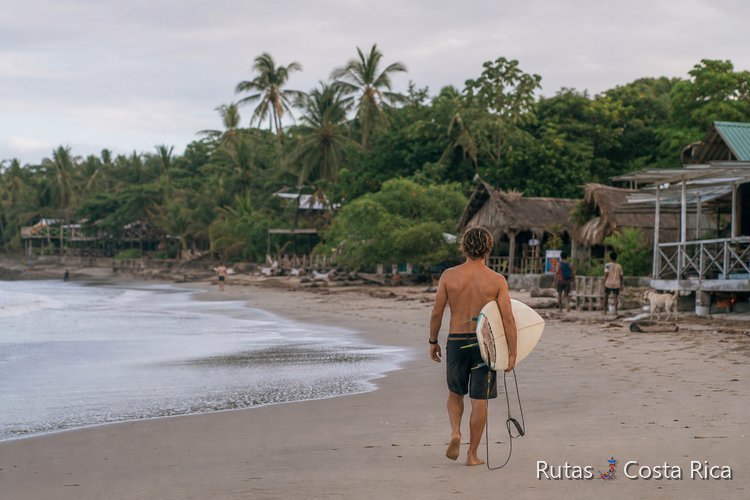 Surfista con tabla caminando por la playa de Santa Teresa en Costa Rica