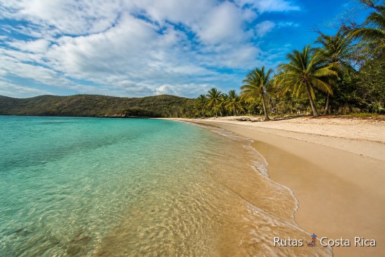Playa del Pacífico Norte de Costa Rica con arena clara y vegetación costera