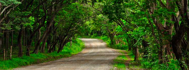 ¿Cómo son las condiciones de las carreteras  en Costa Rica?