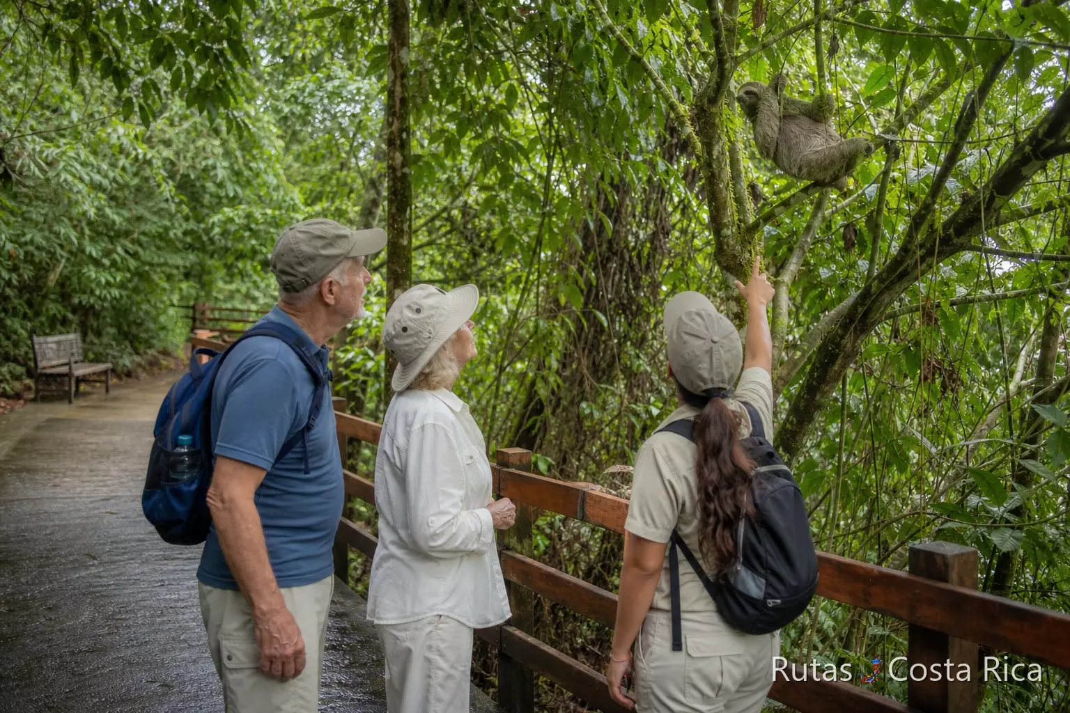 Sendero fácil para ver fauna en Costa Rica durante un viaje para mayores de 65 años