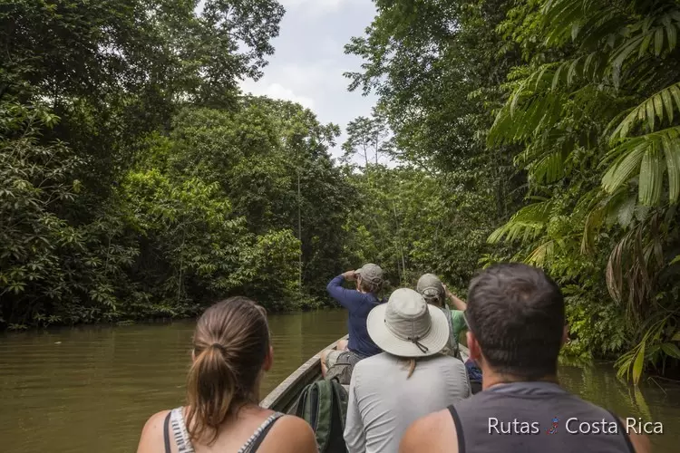 Lancha en los canales de Tortuguero durante una ruta de 15 días por Costa Rica