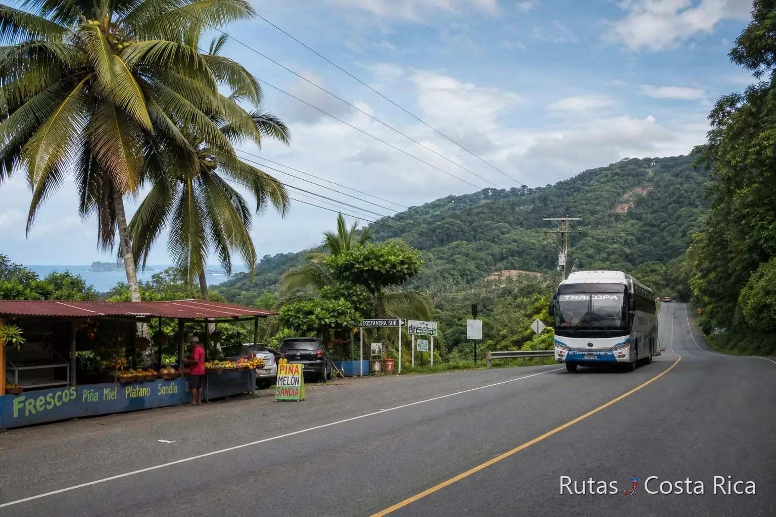 Carretera Costanera Sur entre palmeras y comercio local cerca de Uvita