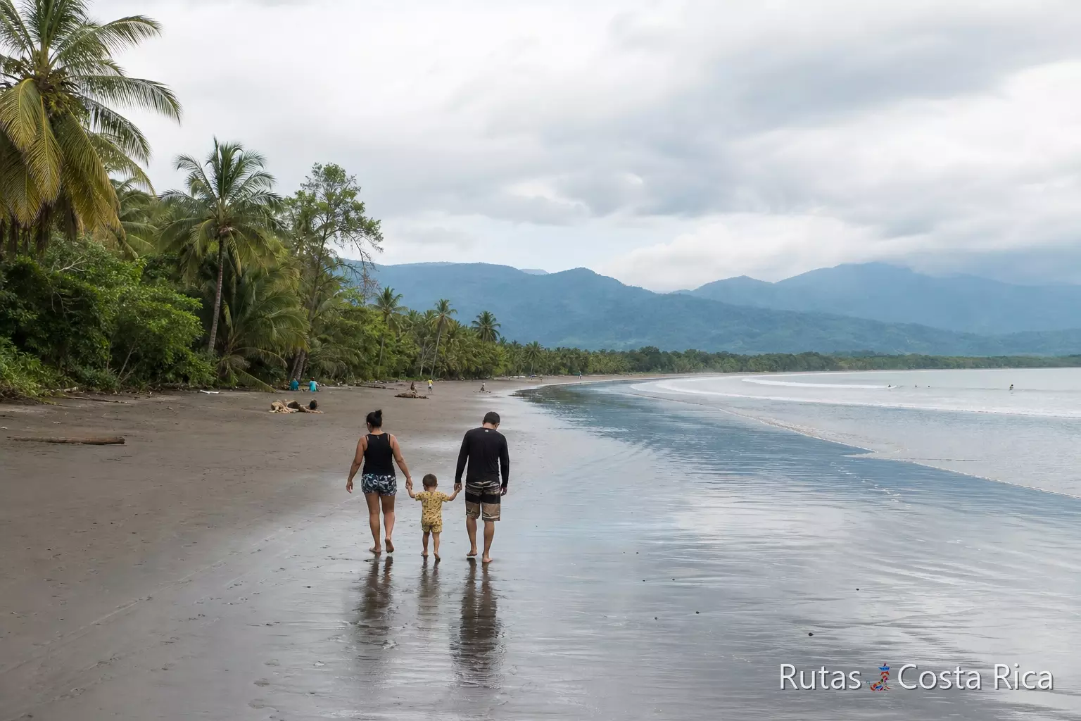 Orilla de la playa de Uvita con marea baja y palmeras en el Pacífico Sur de Costa Rica