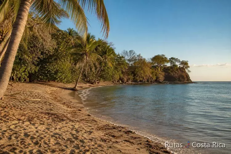Playa del Pacífico de Costa Rica en temporada seca con palmeras y mar turquesa