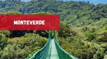 Guía de viaje de Monteverde