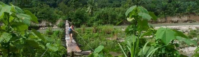 Monteverde: Bosques nubosos, Canopy y puentes