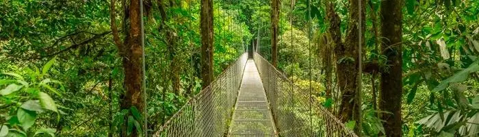 el tiempo en costa rica por meses