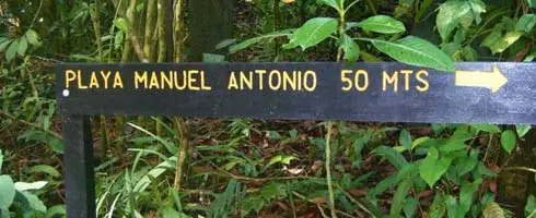 Cómo moverse por Manuel Antonio