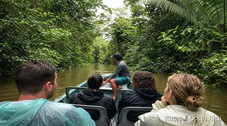 Lancha en los canales de Tortuguero durante un viaje de 15 días por Costa Rica Lancha en los canales de Tortuguero durante un viaje de 15 días por Costa Rica