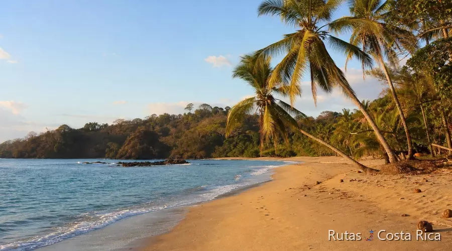 Playa del Pacífico de Costa Rica en diciembre con luz dorada al inicio de la temporada seca Playa del Pacífico de Costa Rica en diciembre con luz dorada al inicio de la temporada seca