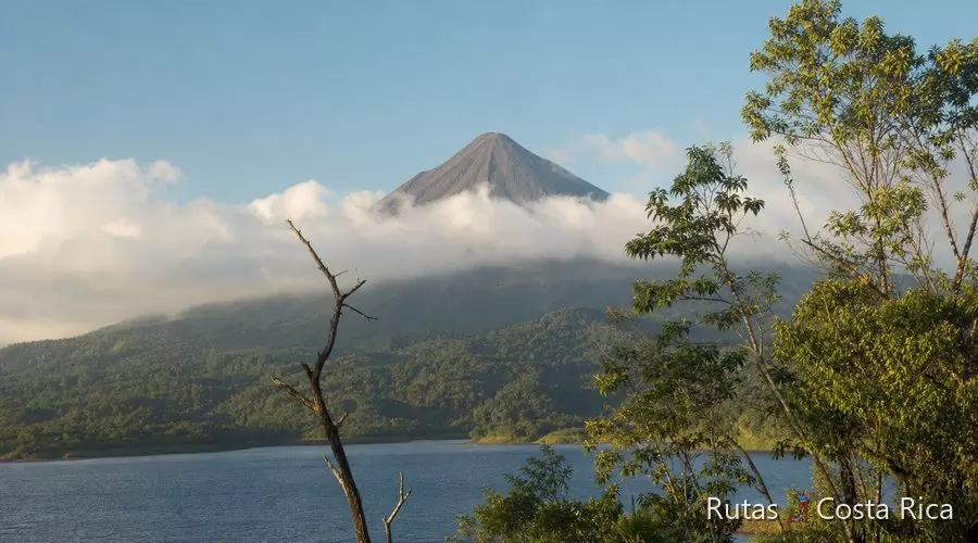 Playa del Pacífico de Costa Rica en febrero, con palmeras y mar tranquilo en temporada seca