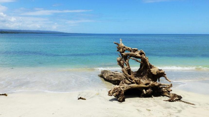 Playas de arena blanca para sorprenderse: Cinco spots que le sacarán una  sonrisa - GO Playa