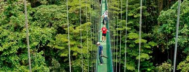 puentes de Monteverde