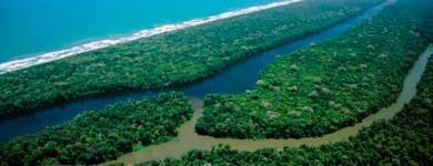 recorrdio canales de el tortuguero