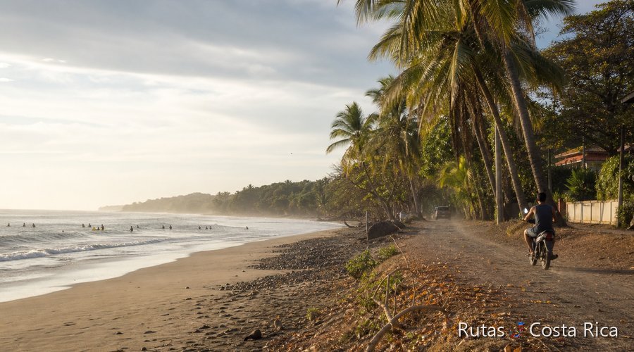 Playa ancha de Santa Teresa en Costa Rica con palmeras y olas del Pacífico